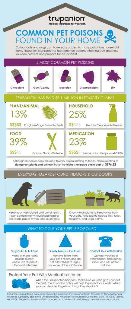 Jennifer Ledford - Trupanion - Affiliate - Common Pet Poisons Found In Your Home - Love my pets!