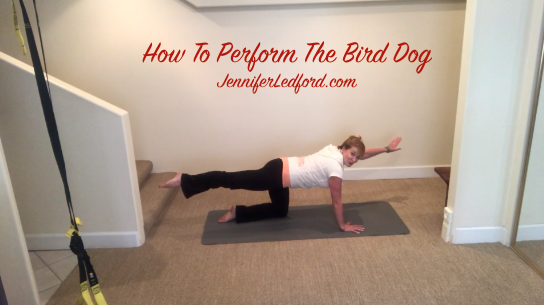How To Perform The Bird Dog by Jennifer Ledford